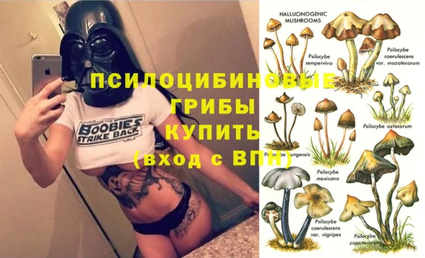 мескалин Медвежьегорск